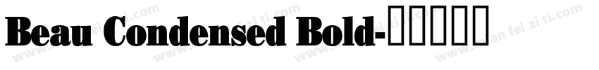 Beau Condensed Bold字体转换